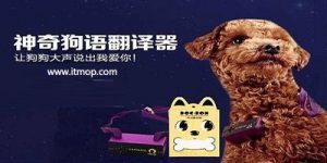 把我爱你翻译成狗语(我爱你用狗语翻译)-警犬训练器材厂家 _警犬训练用品_工作犬训练用品-南京开久警犬装备