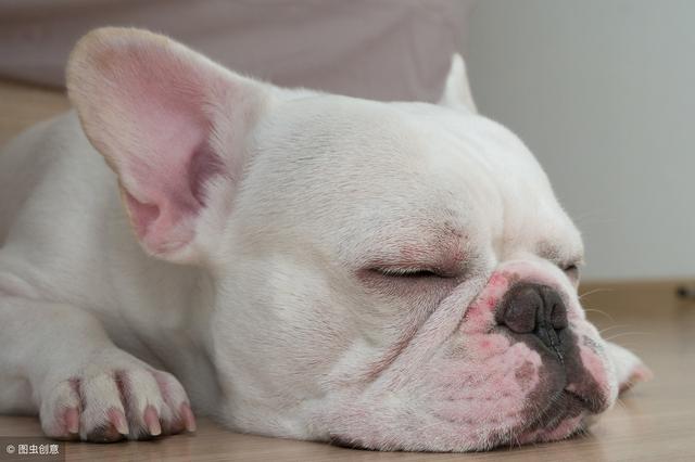 20221119141943_74151