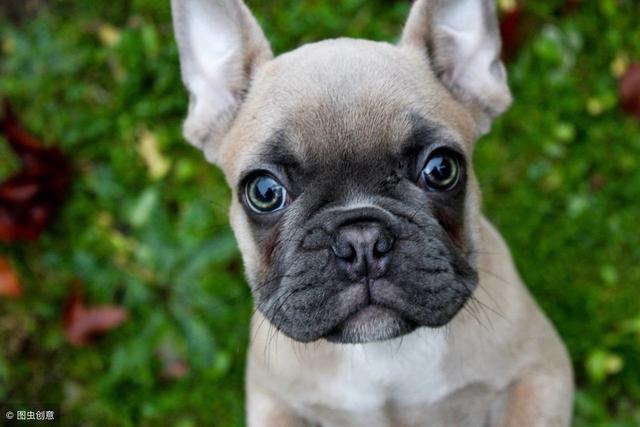 20221119141944_11995