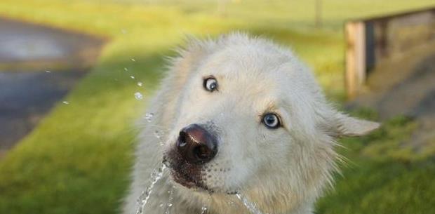 20221119142311_46246 20221119142311_46246