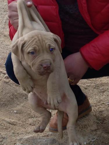 20221119143307_43765