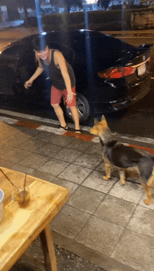 20221119153259_65093