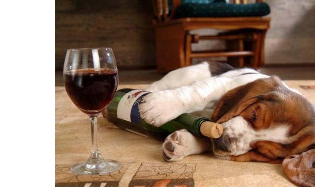 20221119153259_87269