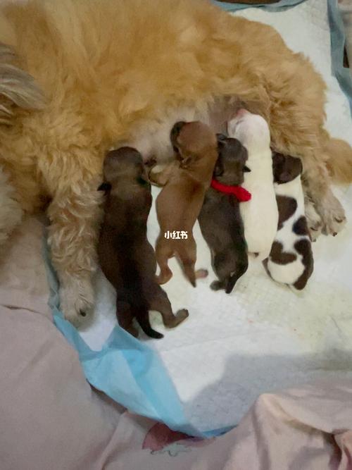 20221119160936_25862