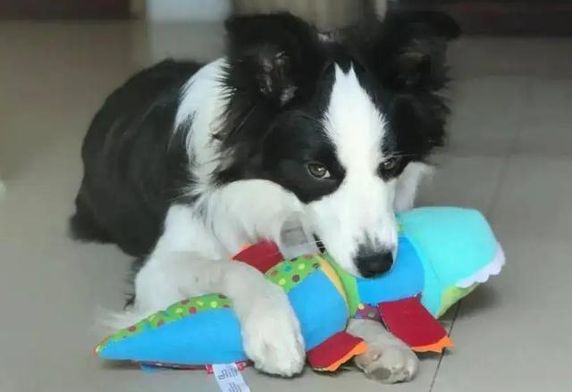 20221119162348_70971