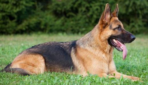 20221119163814_64398