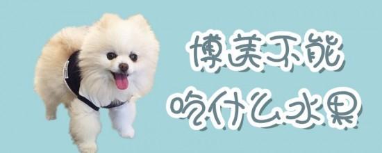 20221119164938_81588 20221119164938_81588