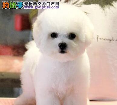 20221119170400_95901