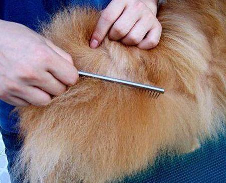 20221119170526_10515