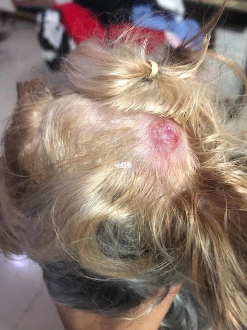 狗身上有跳蚤怎么办?狗狗用药常识(农村狗身上有跳蚤怎么办) - 警犬训练器材厂家 _警犬训练用品_工作犬训练用品-南京开久警犬装备-警犬训练器材厂家 _警犬训练用品_工作犬训练用品-南京开久警犬装备