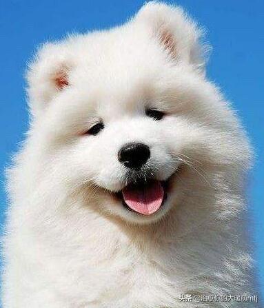 20221119170559_21363 20221119170559_21363