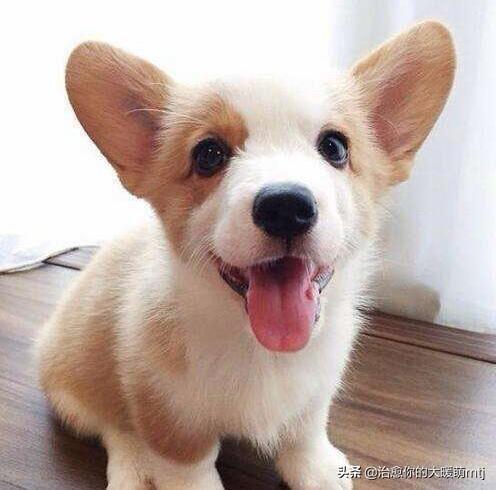 20221119170559_90122 20221119170559_90122