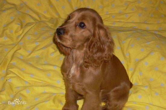 20221119170902_20251