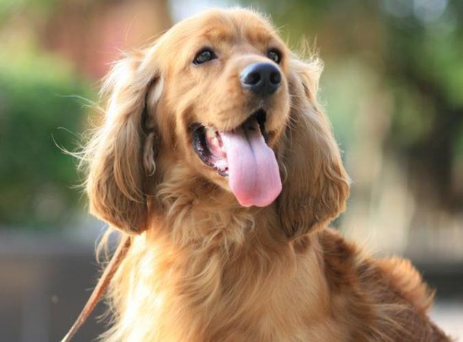 20221119170902_85901