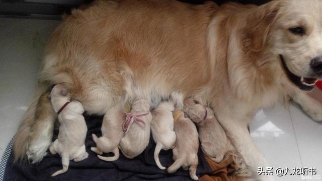 20221119172502_16332