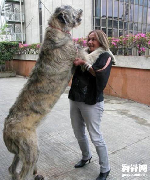 20221119173030_86557 20221119173030_86557