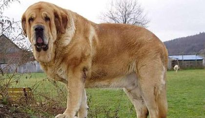 20221119173031_62838 20221119173031_62838