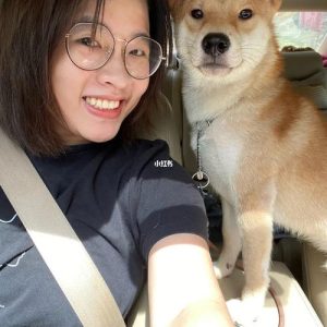 柴犬阿旺的和式生活(柴犬阿旺的和式生活绘本)-警犬训练器材厂家 _警犬训练用品_工作犬训练用品-南京开久警犬装备
