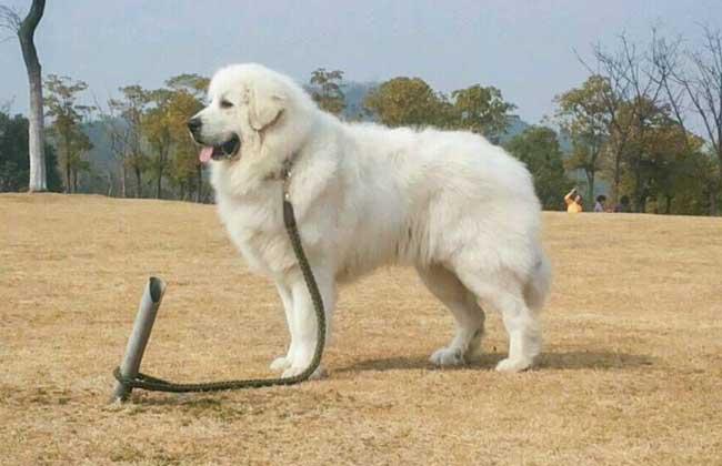 20221119175231_16780