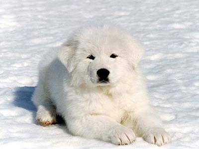 20221119175231_80456