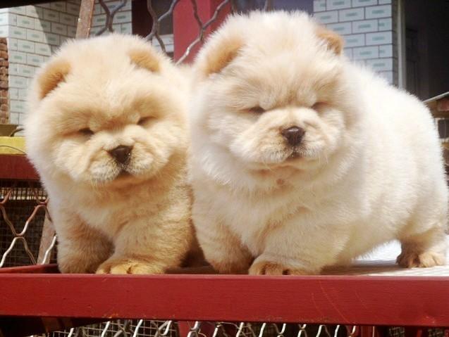 20221119175611_15452