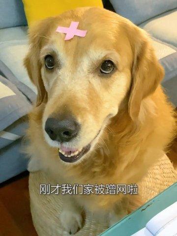 20221119180611_55460 20221119180611_55460