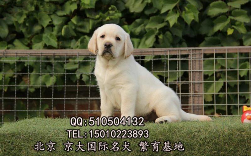 20221119180843_93394