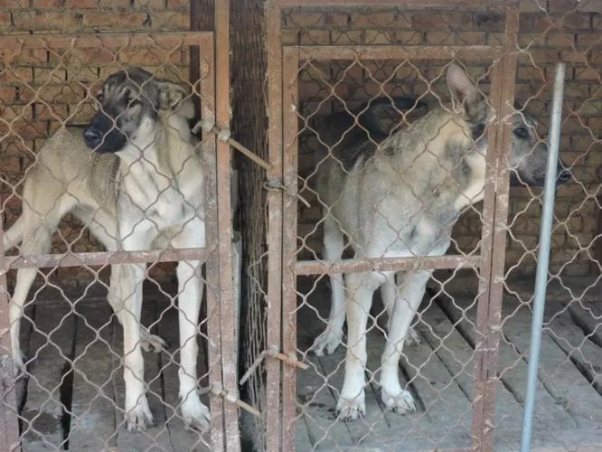 20221119180925_58814