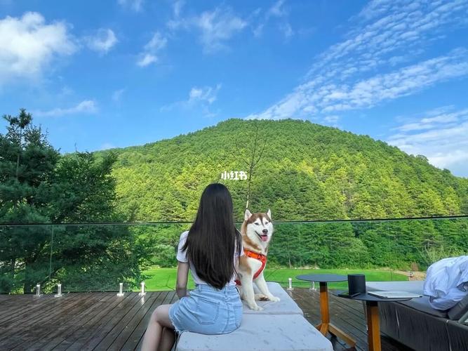 20221119182818_16901 20221119182818_16901