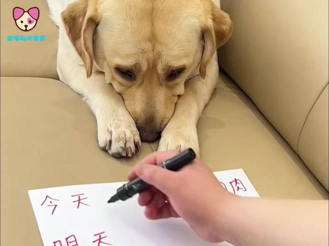 20221119183000_19842 20221119183000_19842