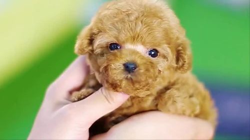 20221119183138_23246