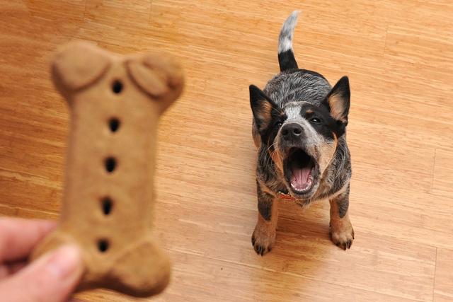 20221119183351_73044