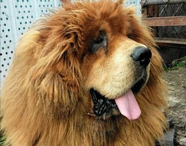 20221119183736_44925