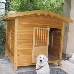 如何教狗自己回狗窝(如何让自己不怕狗) - 警犬训练器材厂家 _警犬训练用品_工作犬训练用品-南京开久警犬装备-警犬训练器材厂家 _警犬训练用品_工作犬训练用品-南京开久警犬装备