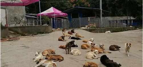 20221119184700_52065 20221119184700_52065