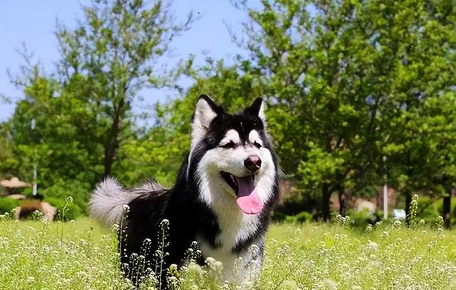 20221119191907_33379 20221119191907_33379