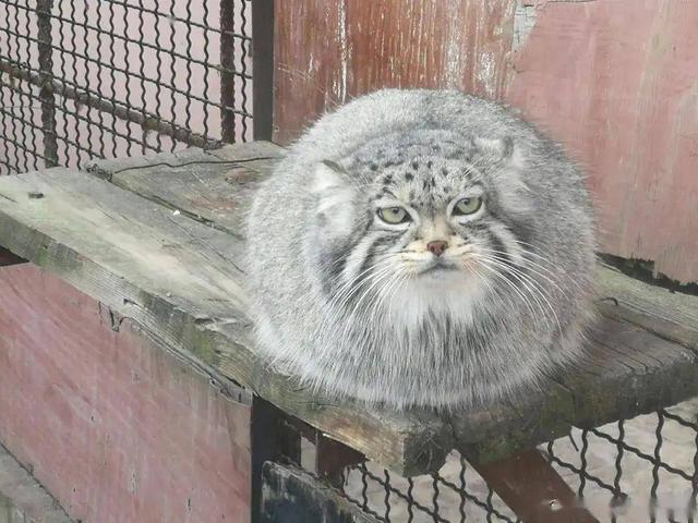 20221119191907_63829 20221119191907_63829