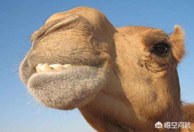 20221119192216_65488