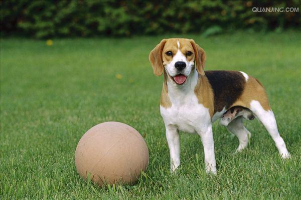 20221119193652_70887 20221119193652_70887