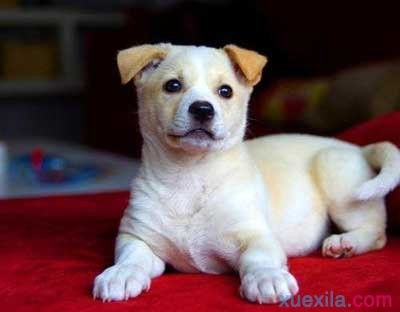 20221119193652_80459 20221119193652_80459