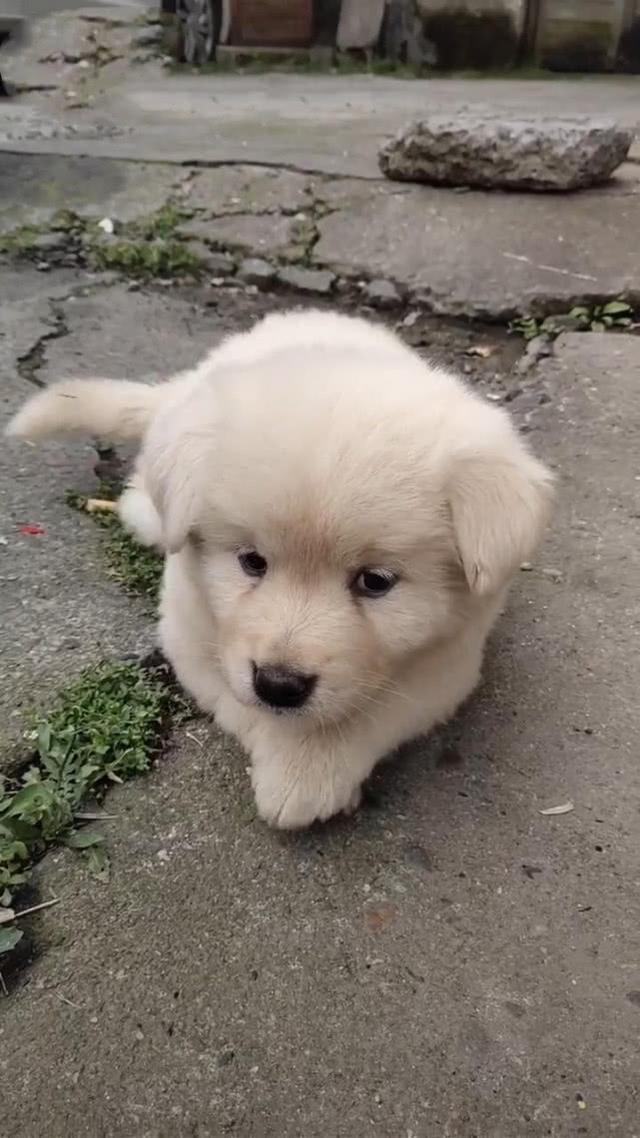 20221119193858_38877 20221119193858_38877