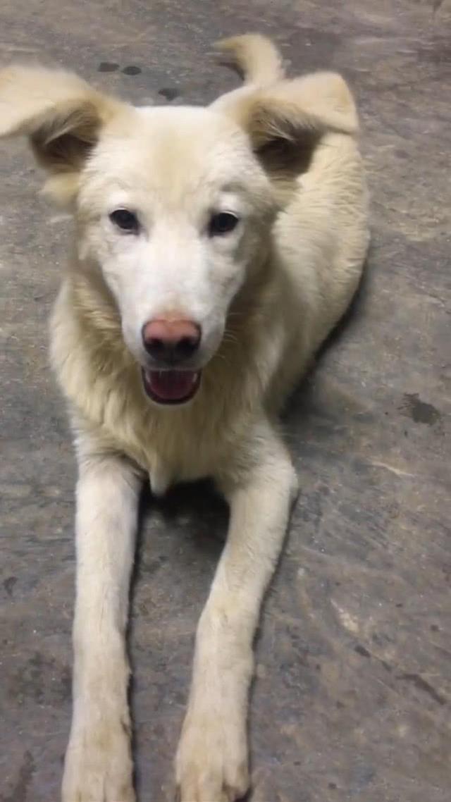 20221119193900_32166 20221119193900_32166