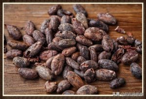 狗为什么不能吃巧克力?？狗为什么不能吃巧克力和葡萄-警犬训练器材厂家 _警犬训练用品_工作犬训练用品-南京开久警犬装备