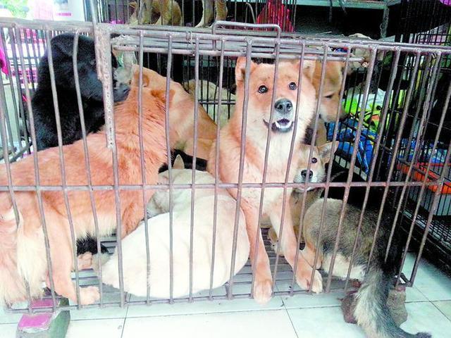 20221119201549_31796 20221119201549_31796