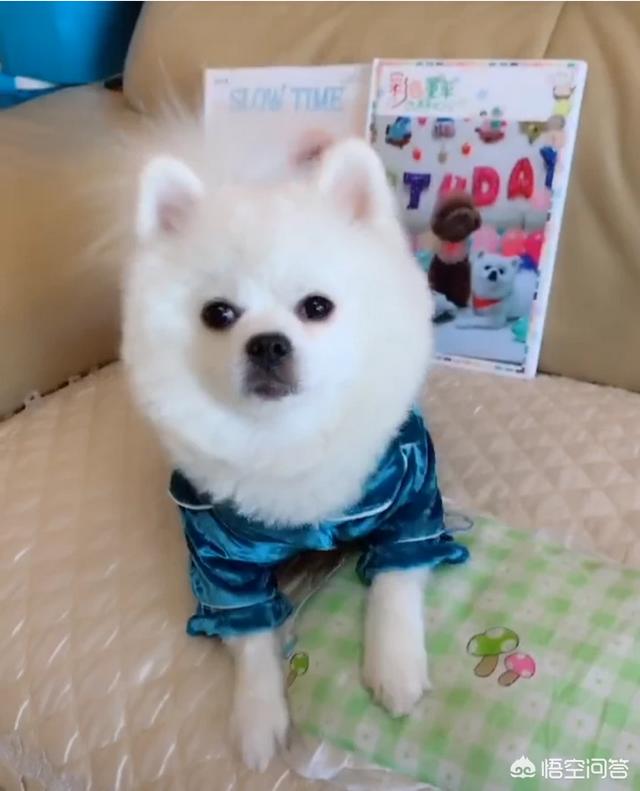 20221119201550_11347 20221119201550_11347