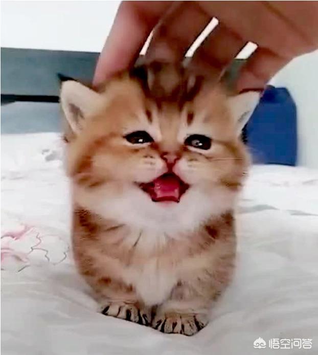 20221119201550_78978 20221119201550_78978