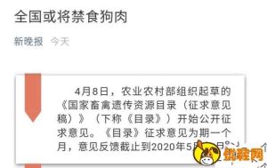 立法禁止吃狗肉(两会立法禁止吃狗肉)-警犬训练器材厂家 _警犬训练用品_工作犬训练用品-南京开久警犬装备