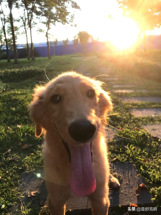 20221119202515_33062 20221119202515_33062