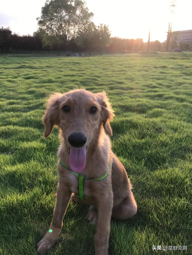 20221119202515_55219 20221119202515_55219