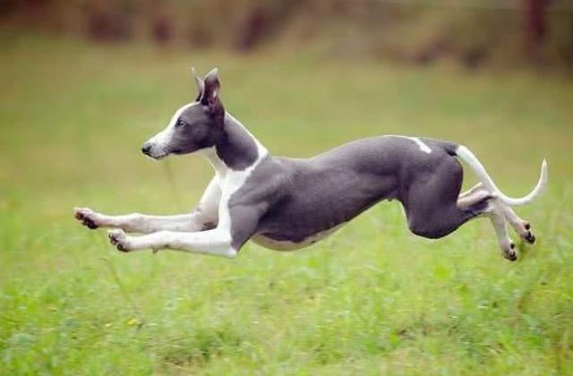 20221119202811_90174